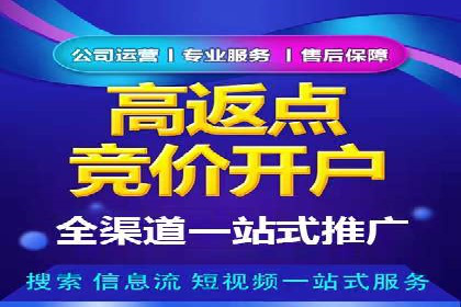 行业巨头的SEM广告投放策略揭秘